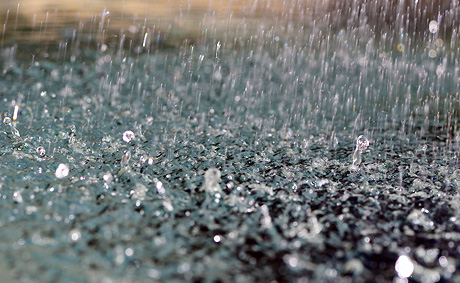 Rain Scent