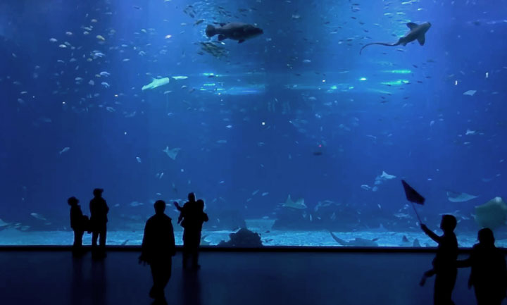 Air Aroma Korea now scenting Jeju Aquaplanet the largest aquarium in Asia