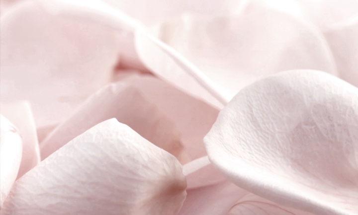 Floral Scent