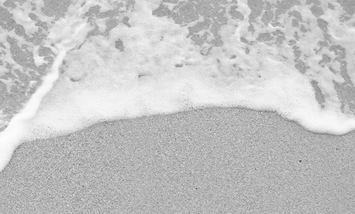 Seashore Beach black and white