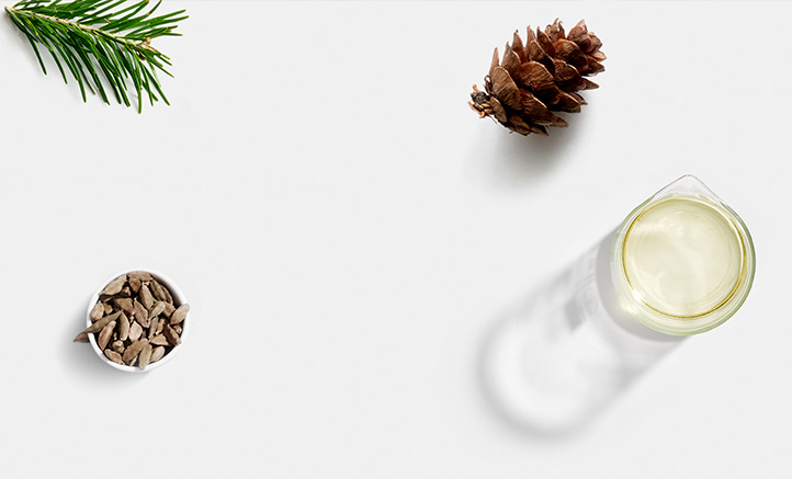 A Guide to the Best Holiday Scents