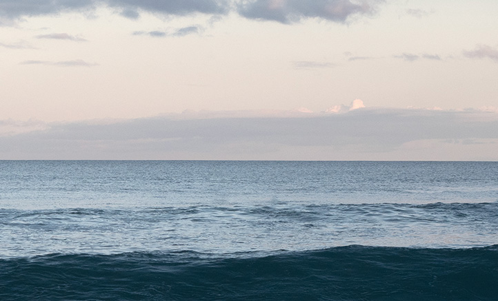 The Scent of Summer, at Sea