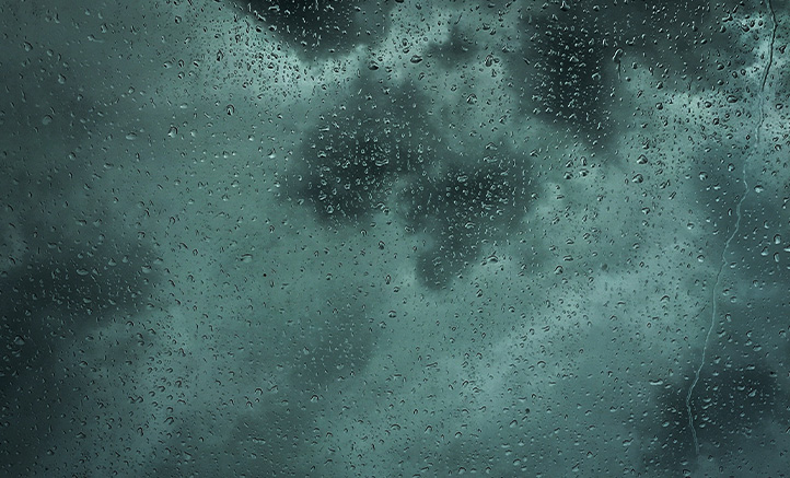 Petrichor: The Science Behind the Smell of Rain